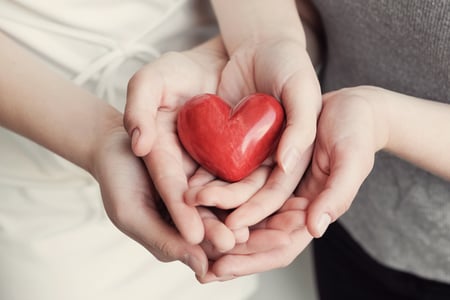 hands hold a heart