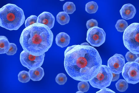 single-cell organisms on blue background